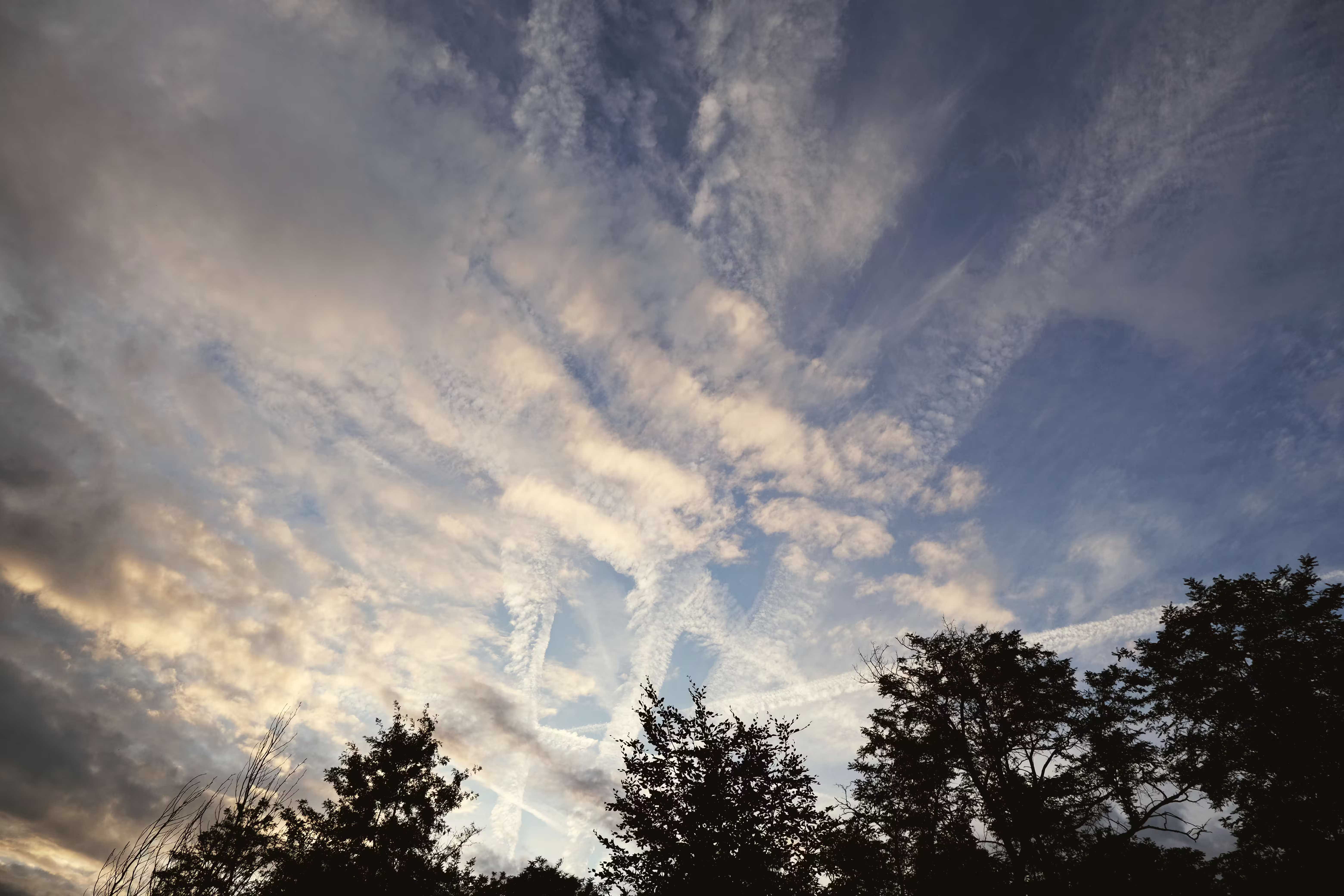 /src/assets/uploads/w (79).avif